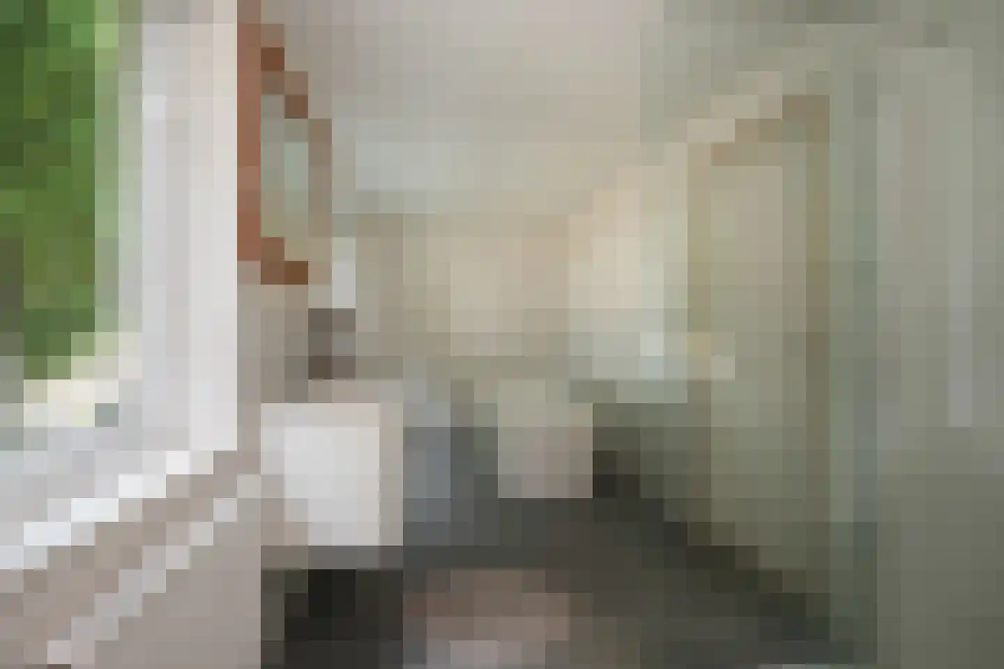 Weikesstraat 5 Alem thumbnail 28