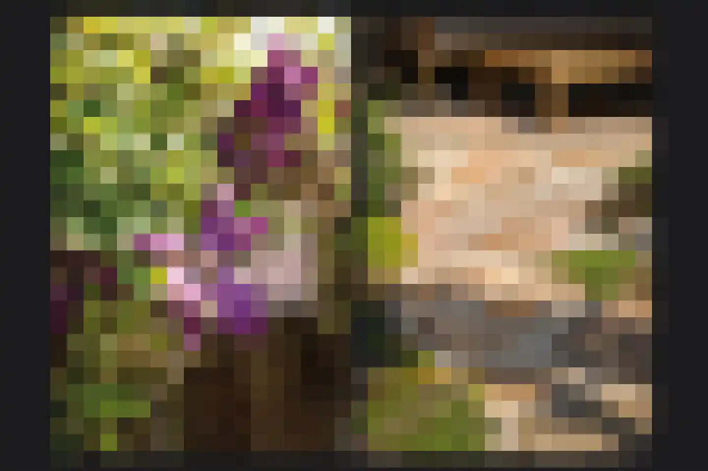 Weikesstraat 5 Alem thumbnail 36