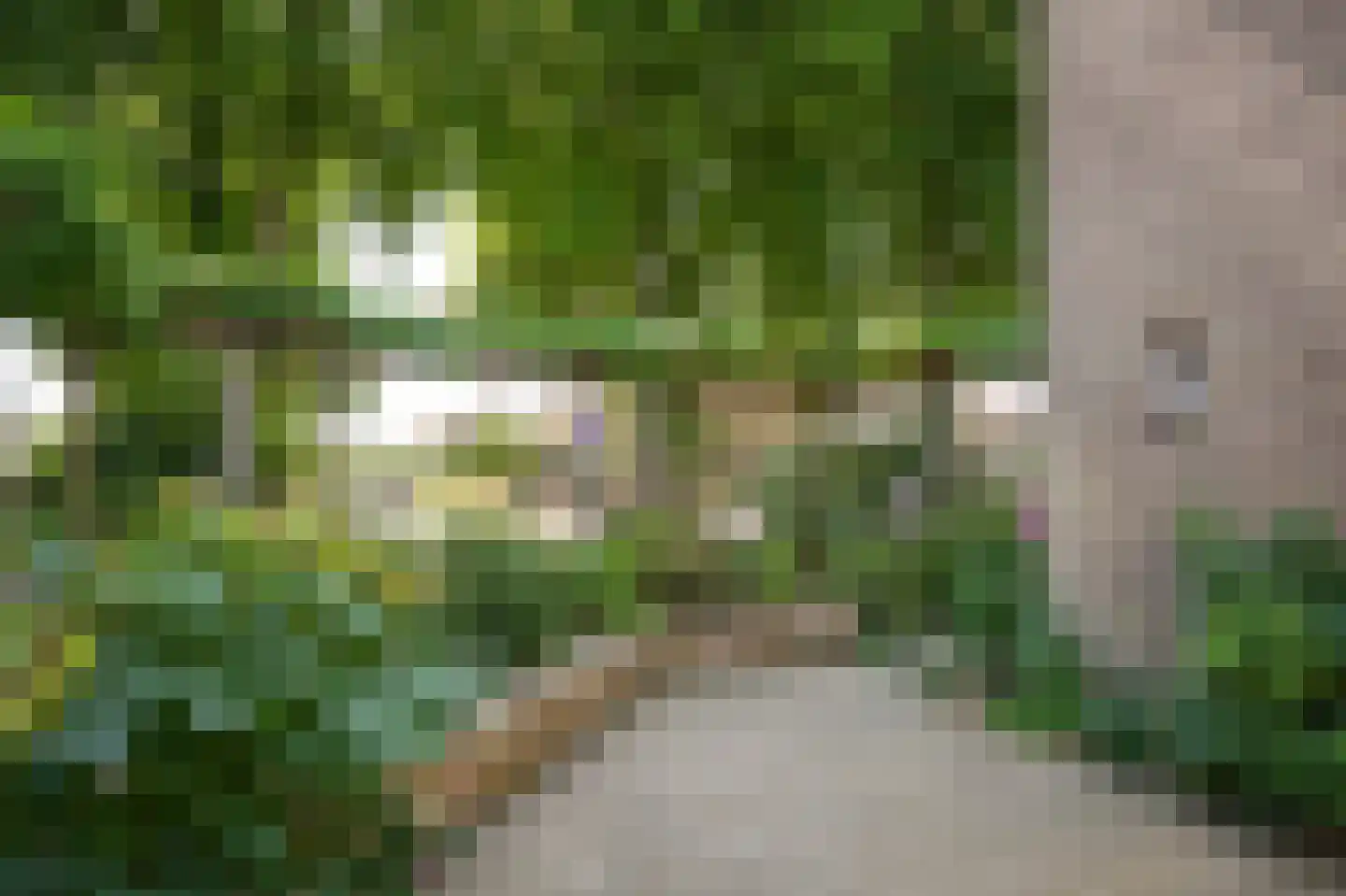 Weikesstraat 5 Alem thumbnail 4