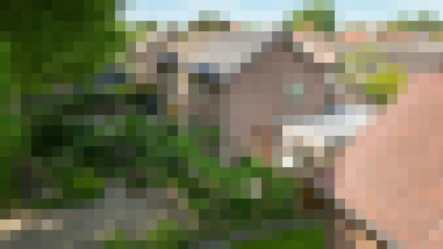Weikesstraat 5 Alem thumbnail 50