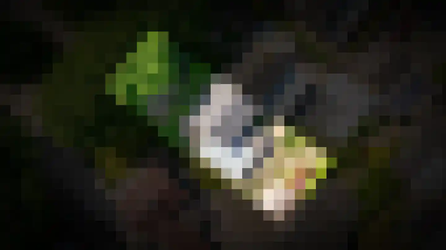 Weikesstraat 5 Alem thumbnail 51