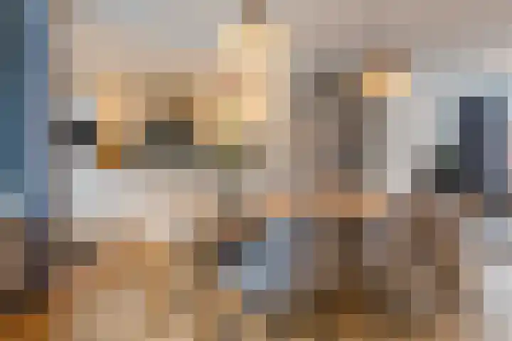 Weilustlaan 214 Breda thumbnail 13