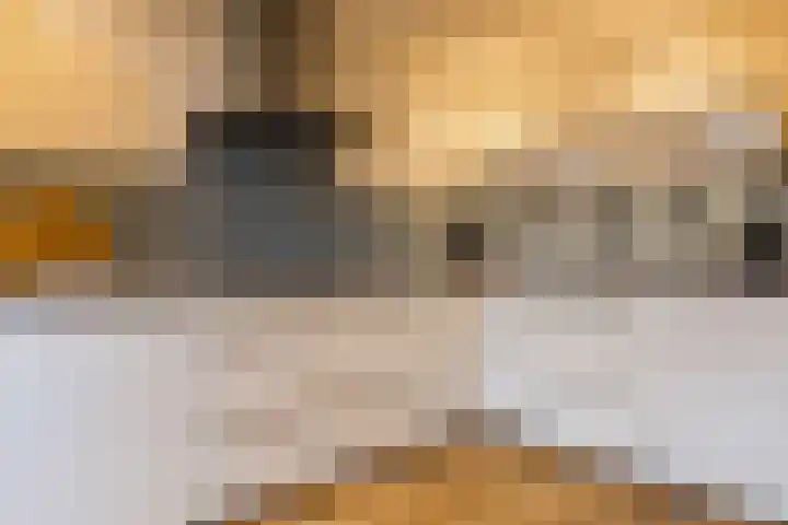 Weilustlaan 214 Breda thumbnail 15