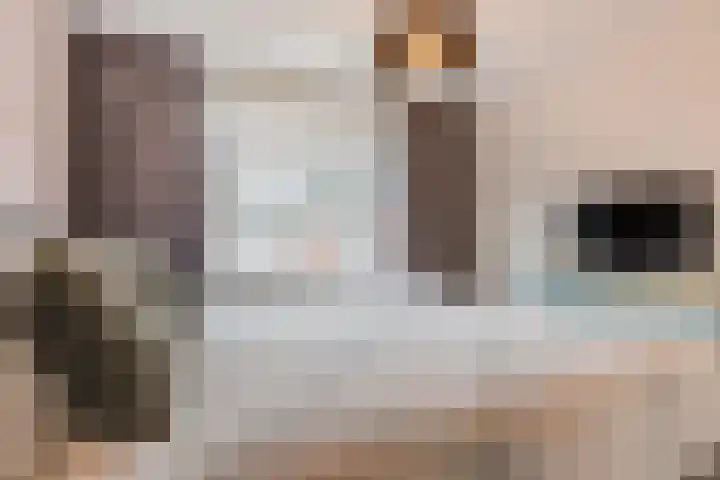 Weilustlaan 214 Breda thumbnail 19