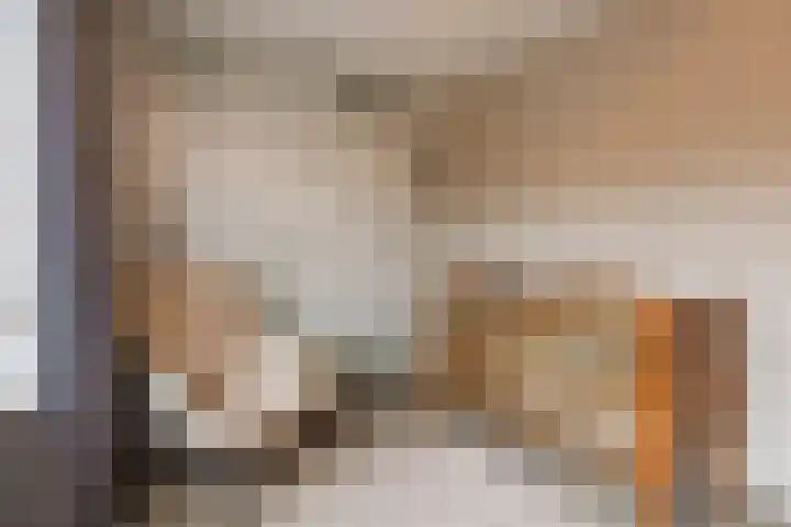 Weilustlaan 214 Breda thumbnail 22