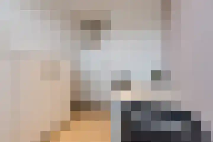 Weilustlaan 214 Breda thumbnail 25