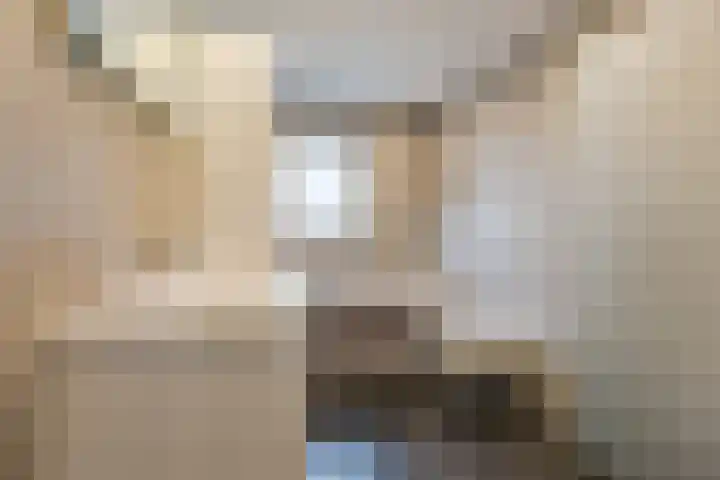 Weilustlaan 214 Breda thumbnail 28