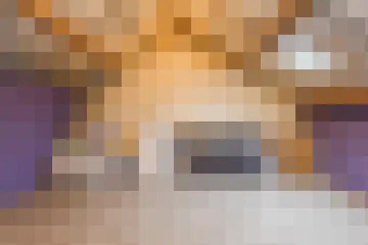 Weilustlaan 214 Breda thumbnail 35