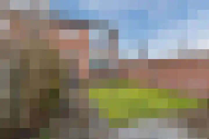 Weilustlaan 214 Breda thumbnail 38
