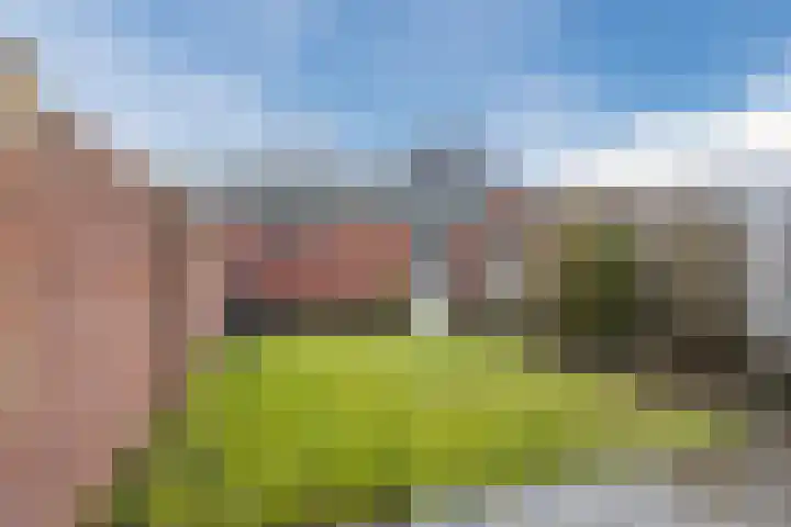 Weilustlaan 214 Breda thumbnail 41