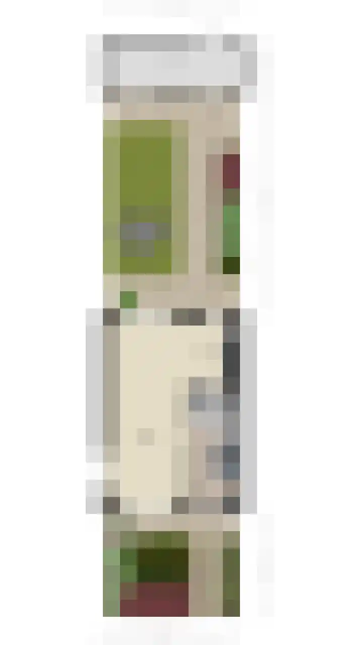 Weilustlaan 214 Breda thumbnail 50