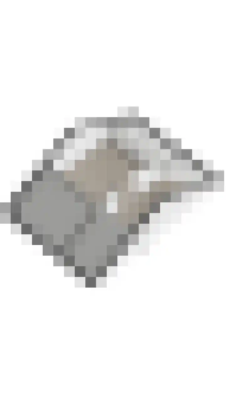 Weilustlaan 214 Breda thumbnail 53