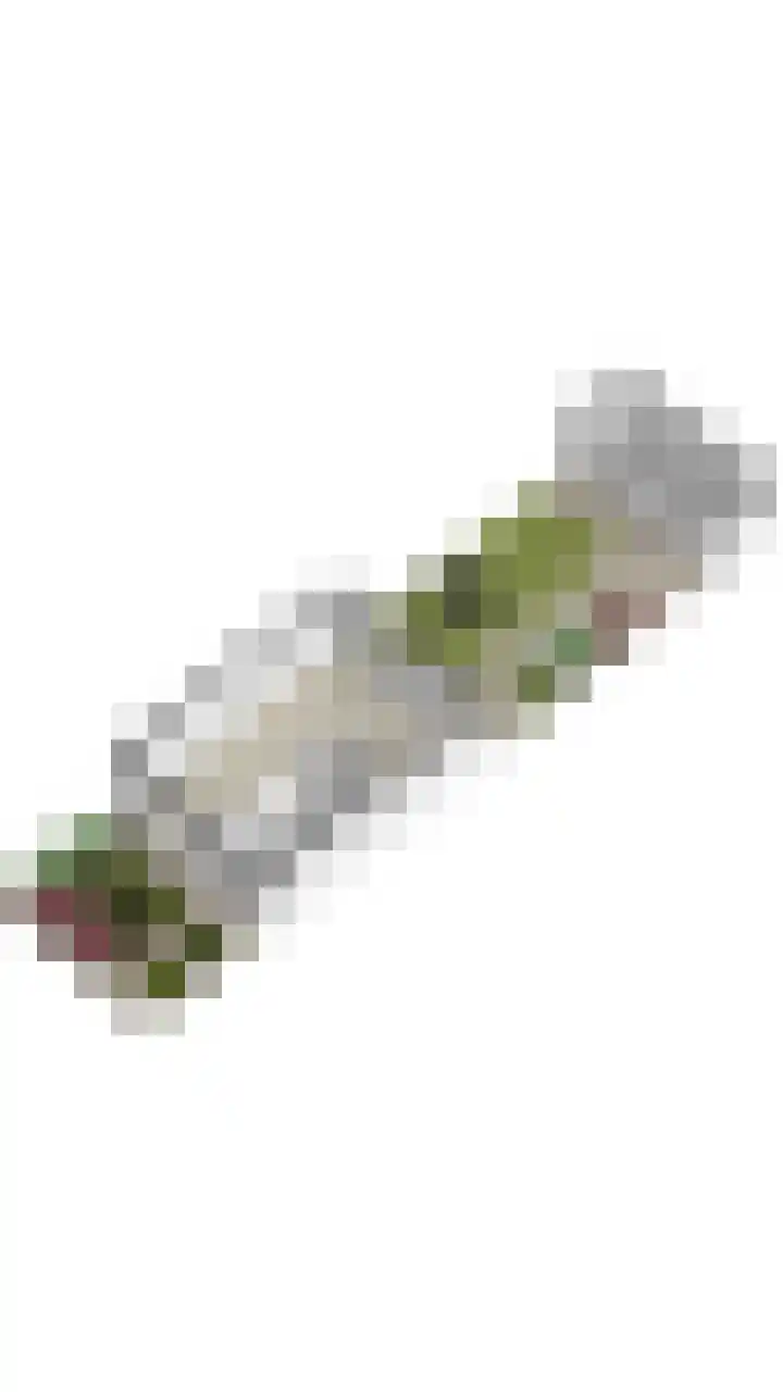 Weilustlaan 214 Breda thumbnail 55