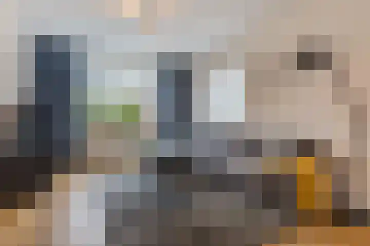 Weilustlaan 214 Breda thumbnail 7