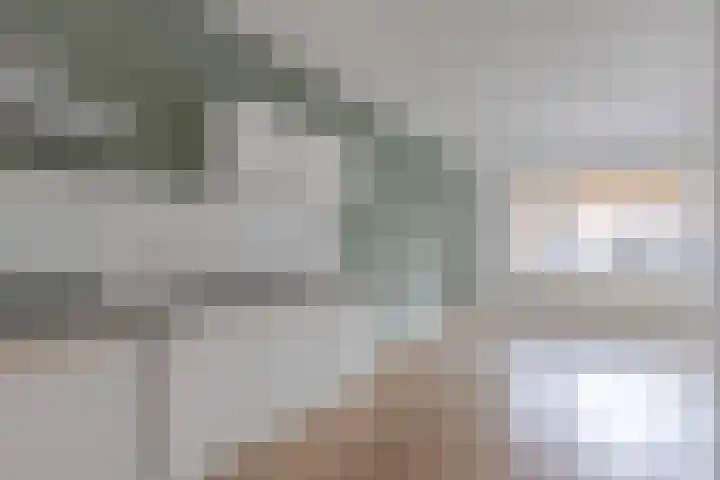 Weimanspad 1 01 Rotterdam thumbnail 11