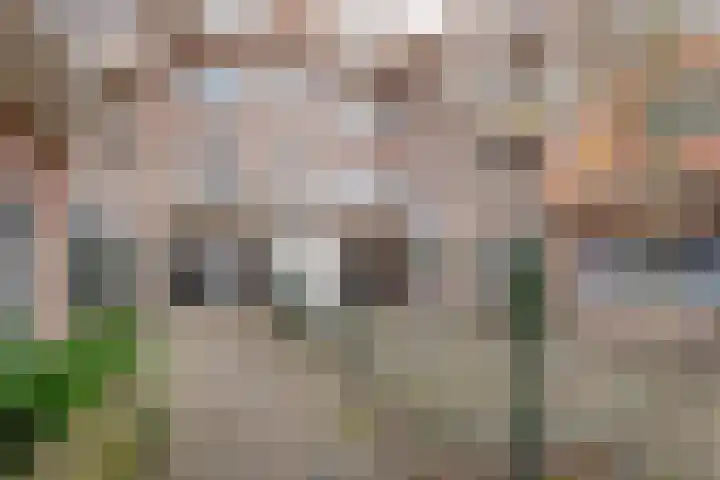 Weimanspad 1 01 Rotterdam thumbnail 18