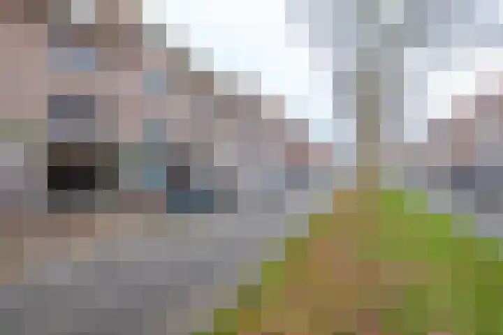 Weimanspad 1 01 Rotterdam thumbnail 19