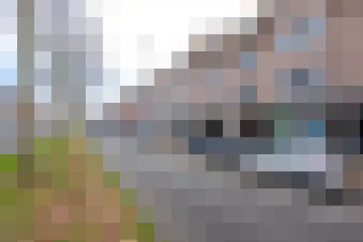 Weimanspad 1 01 Rotterdam thumbnail 6
