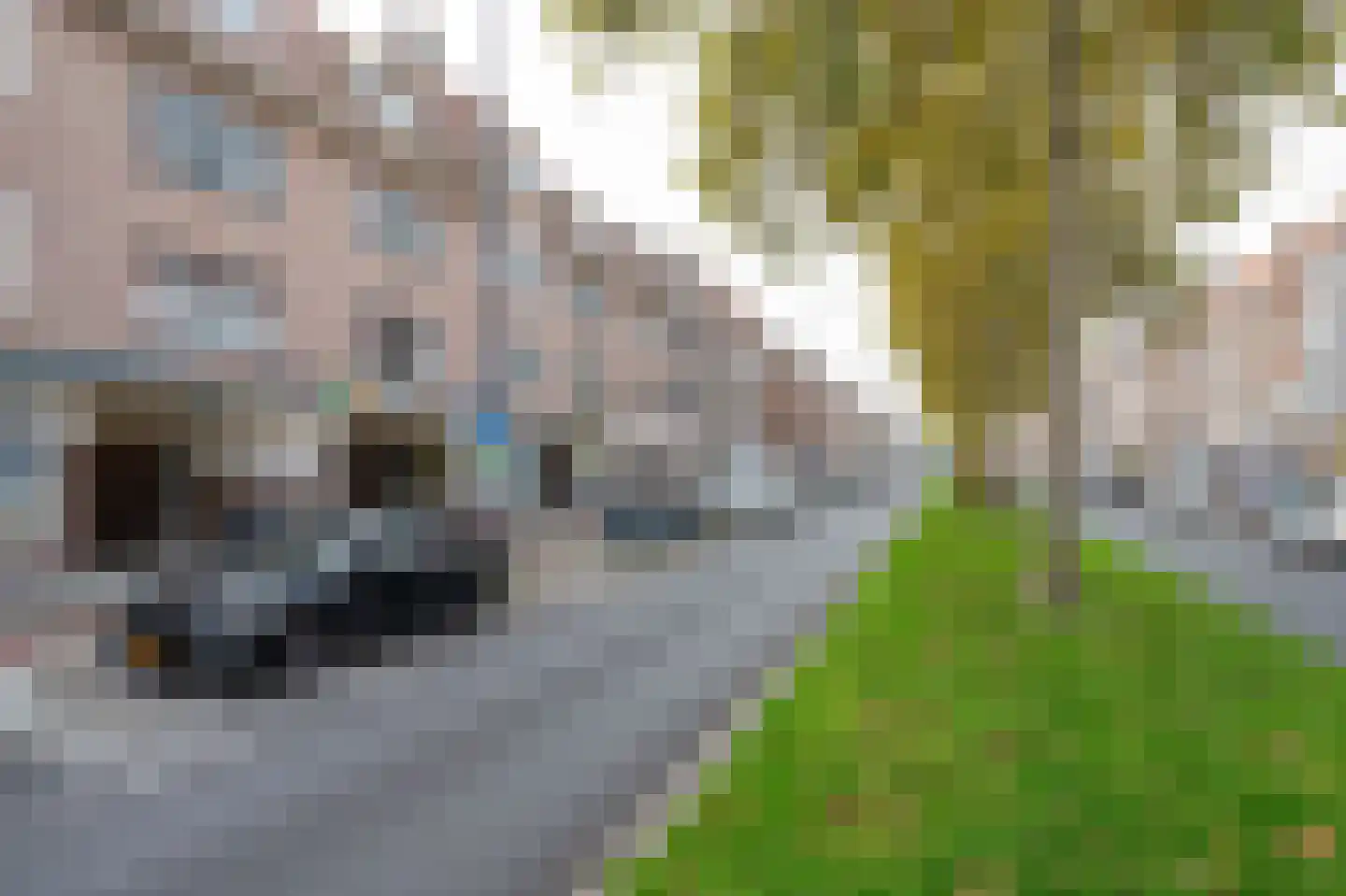Weimanspad 1 A 01 Rotterdam thumbnail 21