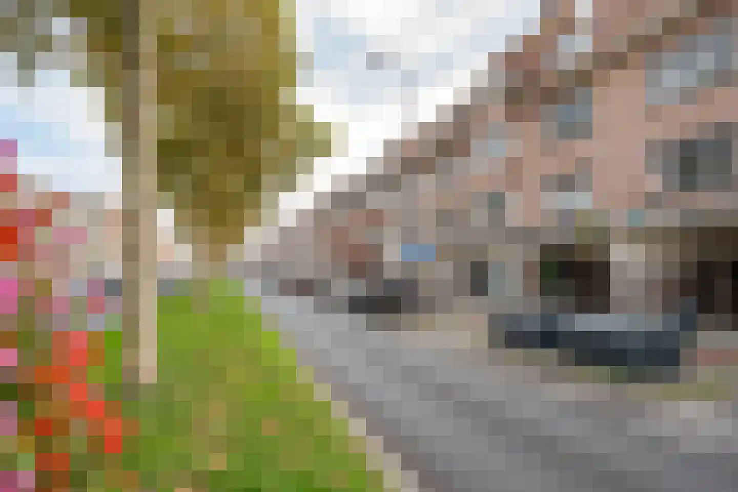 Weimanspad 1 A 01 Rotterdam foto 3