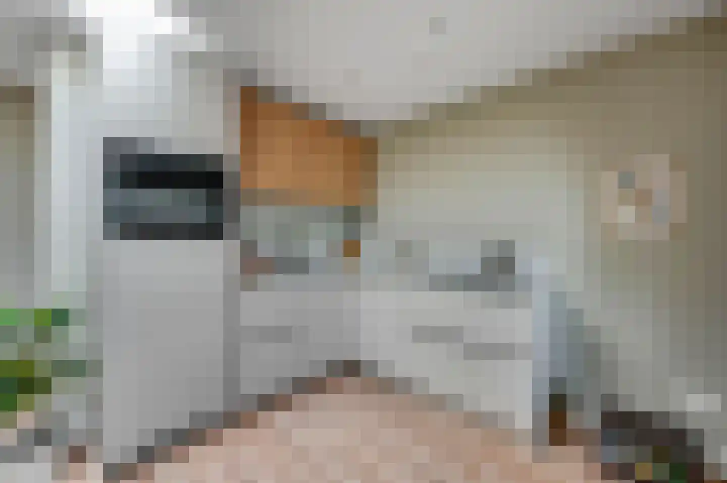 Weimarstraat 234 B Den Haag thumbnail 9