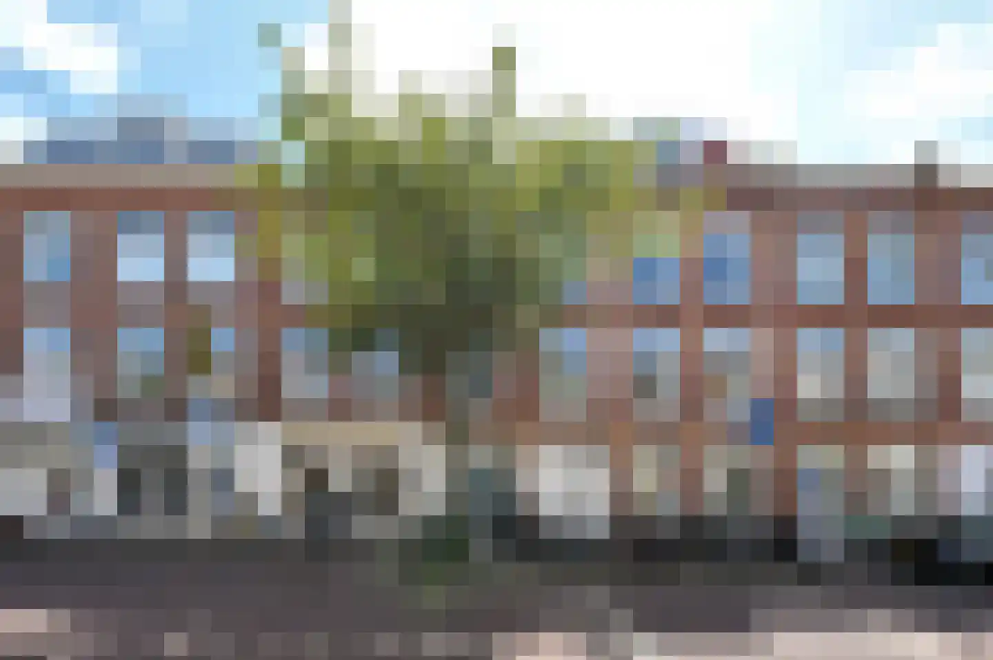 Weimarstraat 234 Den Haag thumbnail 18