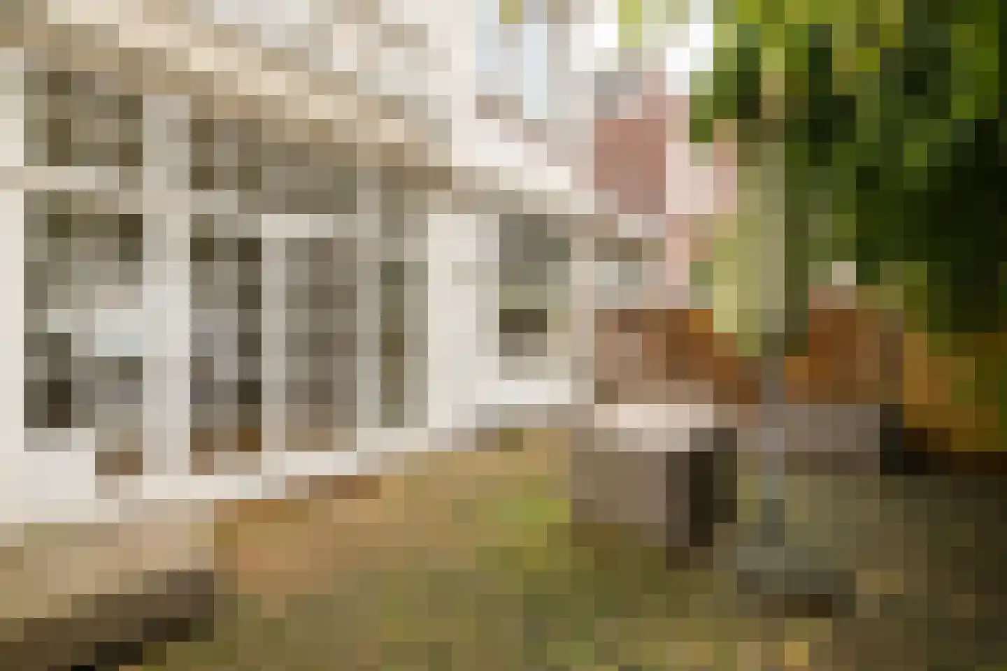Weimarstraat 388 Den Haag thumbnail 50