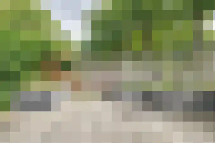 Weimarstraat 4 Apeldoorn thumbnail 22
