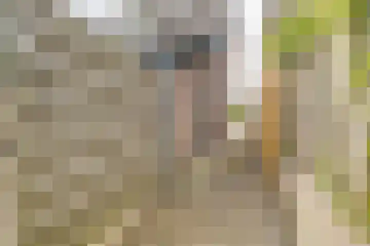 Weimarstraat 4 Apeldoorn thumbnail 23