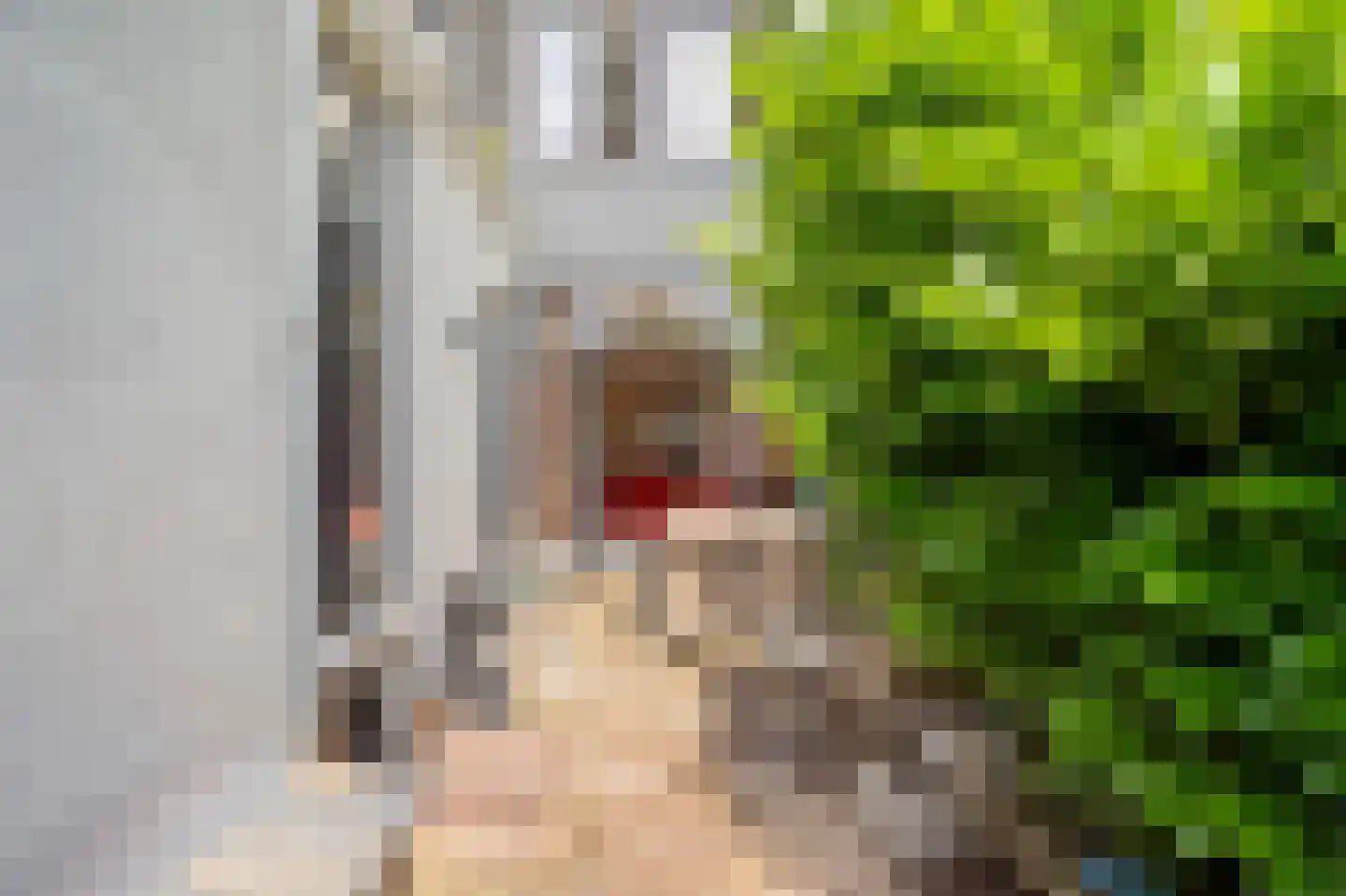 Weimarstraat 6 Den Haag thumbnail 8