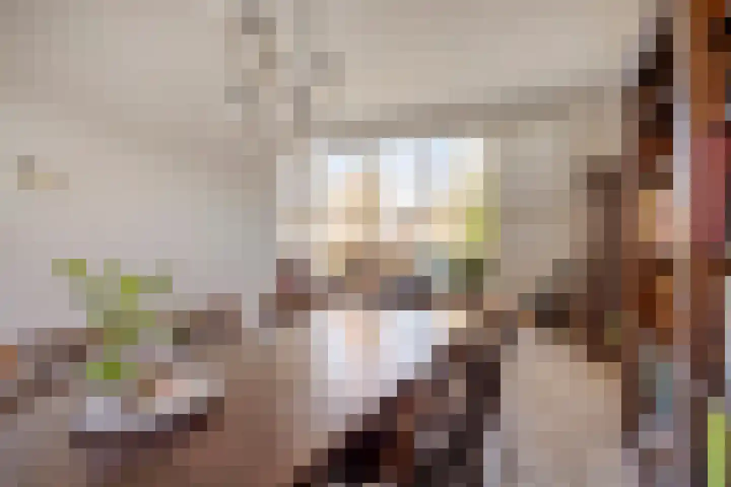 Weimerpad 13 Wernhout thumbnail 25