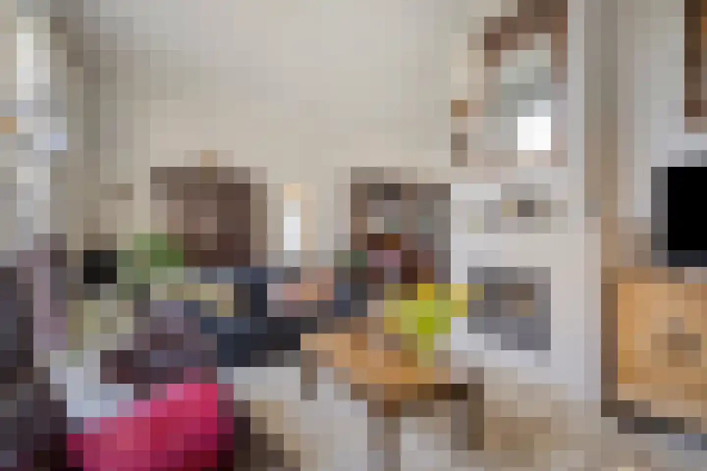 Weimerpad 13 Wernhout thumbnail 28