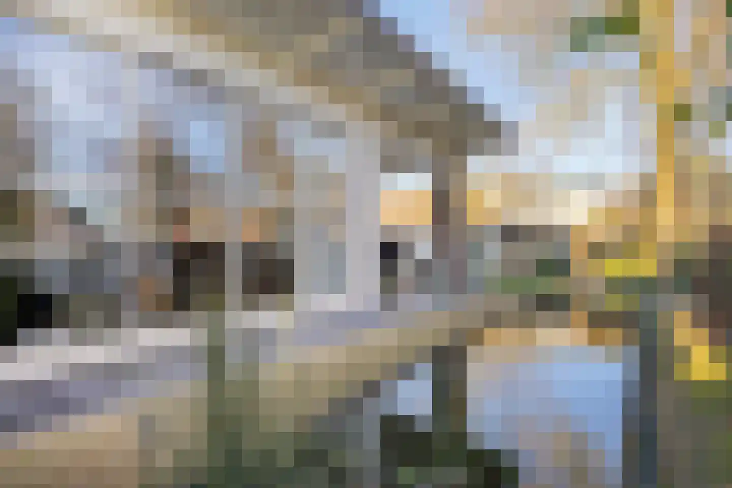 Weimerpad 13 Wernhout thumbnail 5