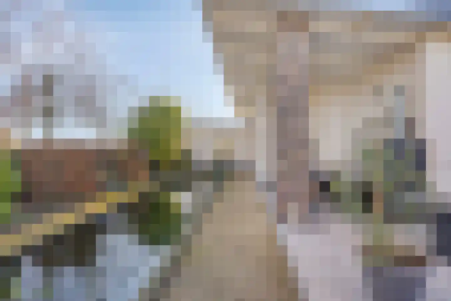 Weimerpad 13 Wernhout thumbnail 61