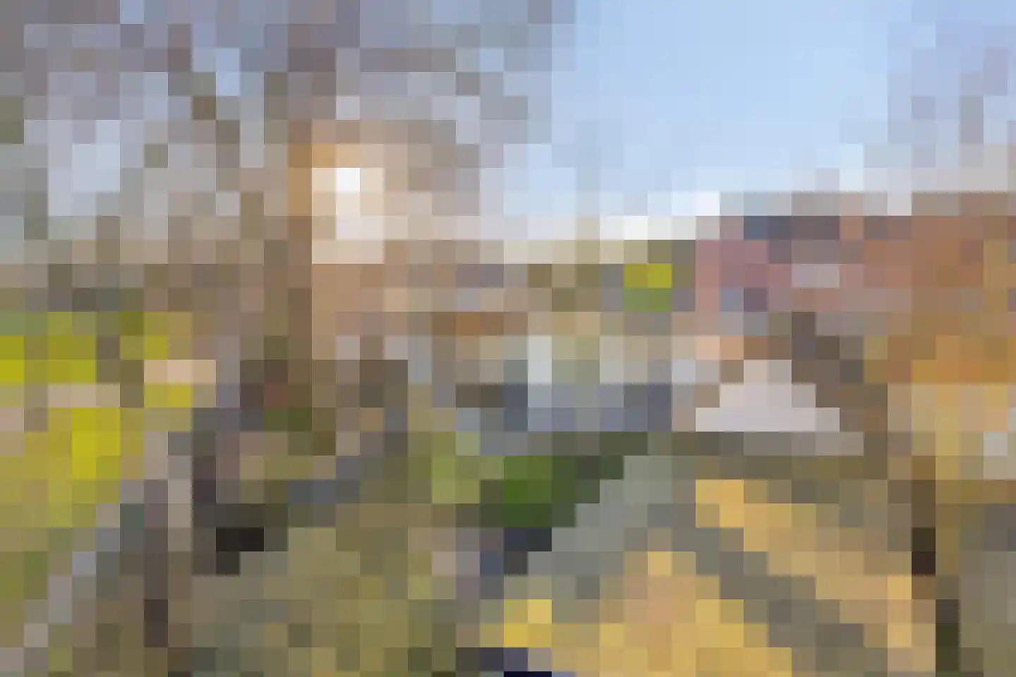 Weimerpad 13 Wernhout thumbnail 67
