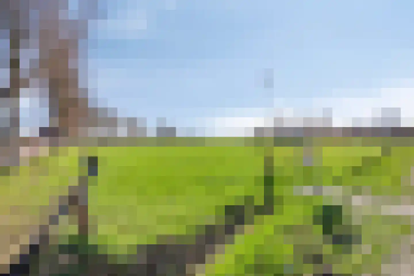 Weimerpad 13 Wernhout thumbnail 74