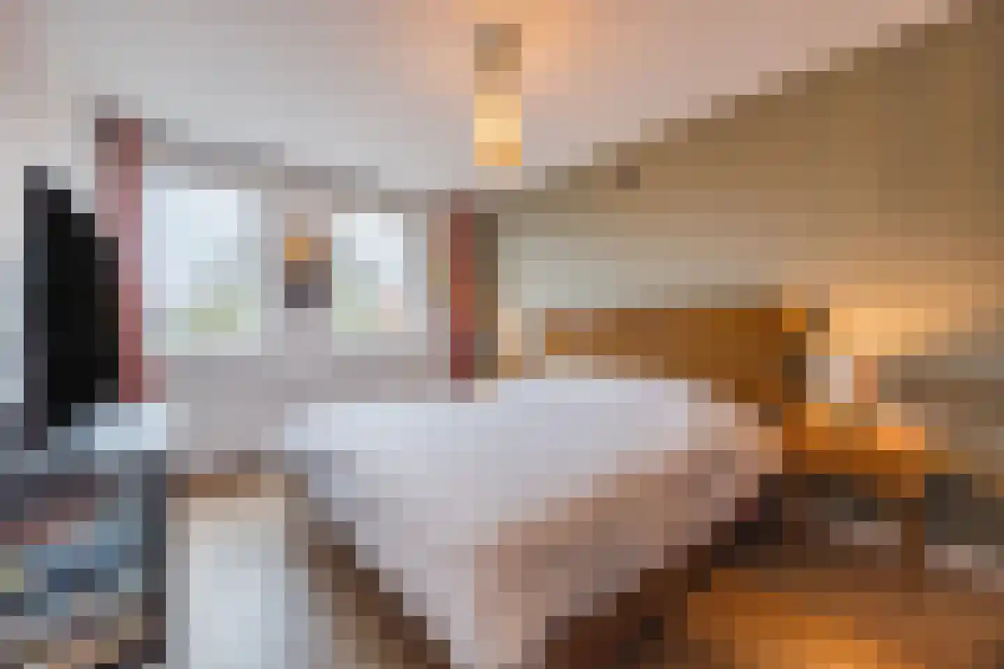 Weimerpad 3 Wernhout thumbnail 14