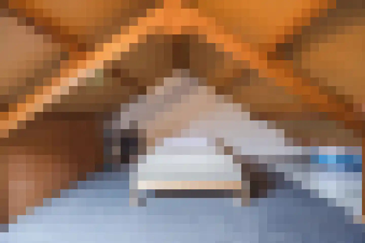 Weimerpad 3 Wernhout thumbnail 23