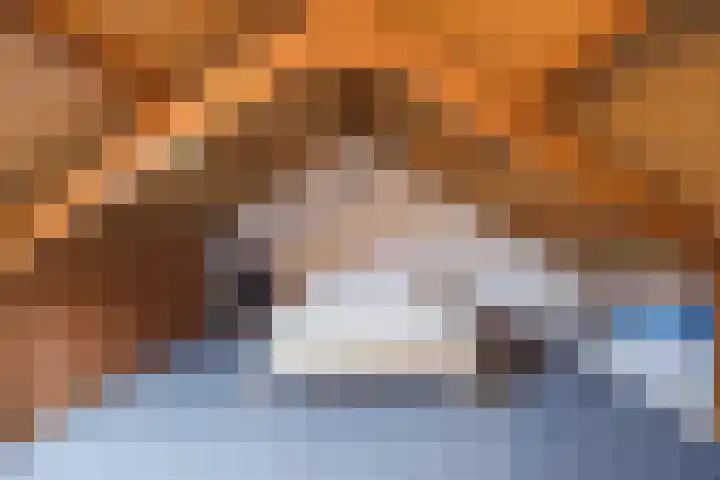 Weimerpad 3 Wernhout thumbnail 23