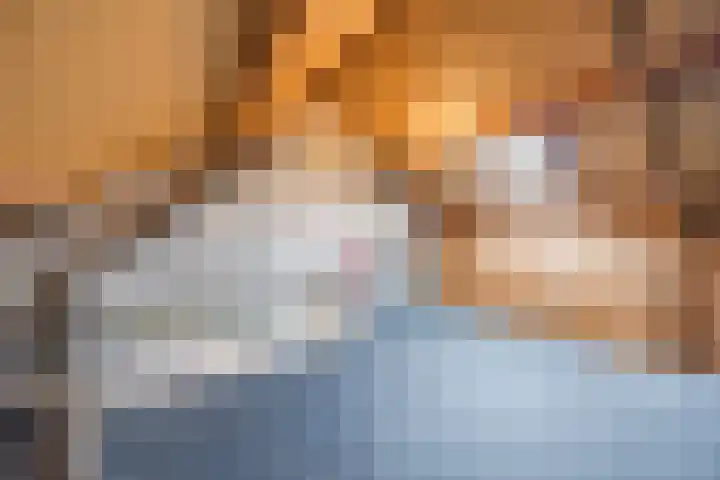 Weimerpad 3 Wernhout thumbnail 25