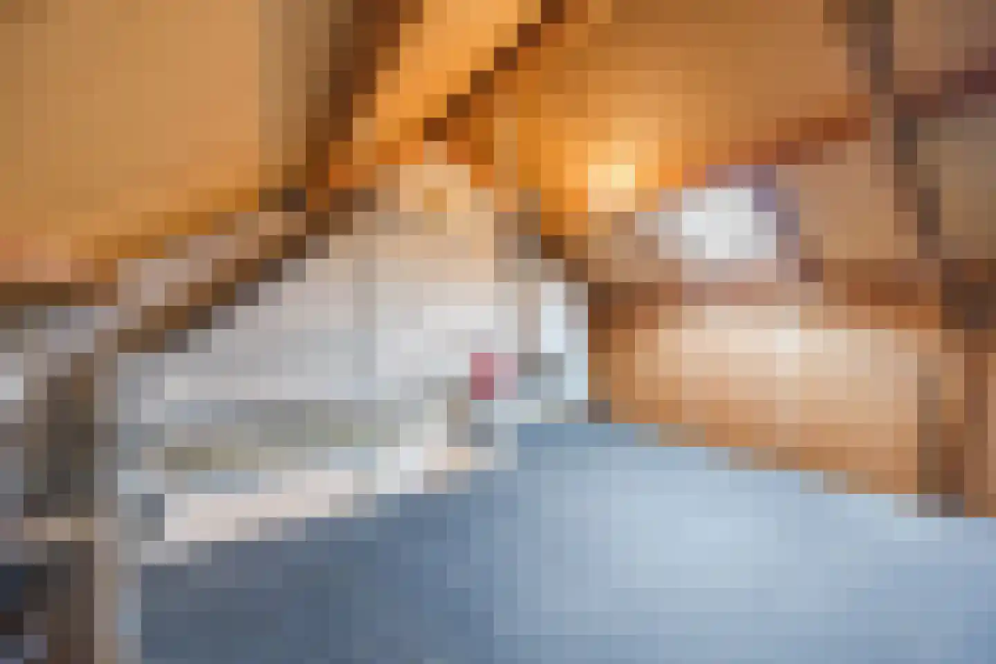 Weimerpad 3 Wernhout thumbnail 25