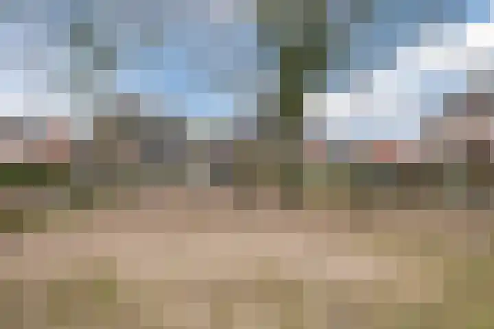 Weimerpad 3 Wernhout thumbnail 38