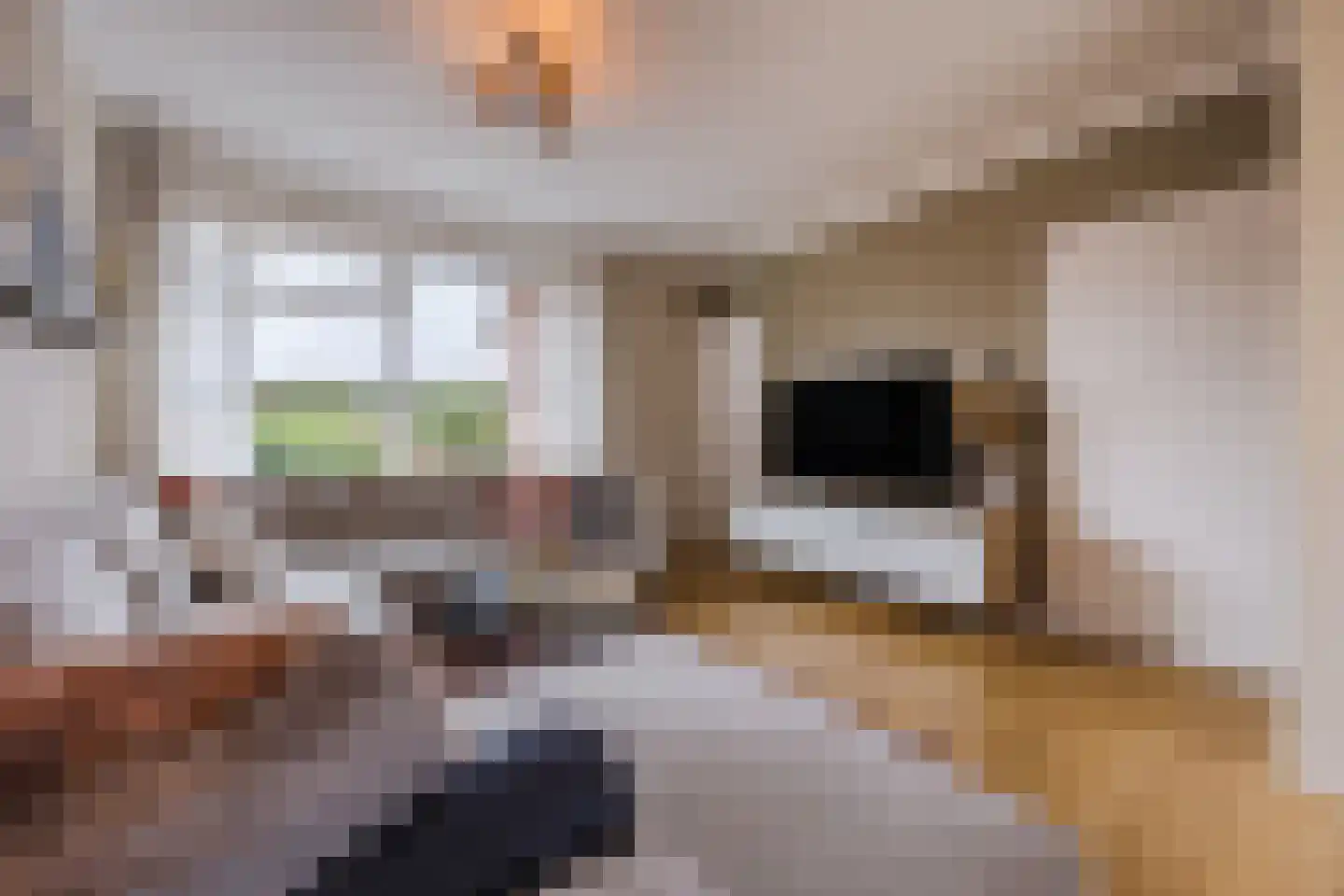 Weimerpad 3 Wernhout thumbnail 6