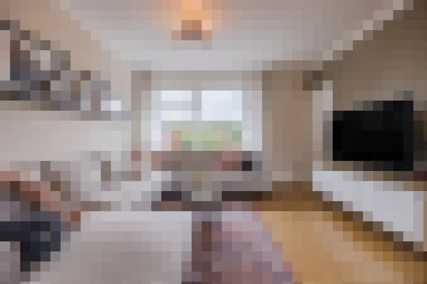 Weimerpad 3 Wernhout thumbnail 7