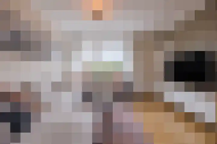 Weimerpad 3 Wernhout thumbnail 7