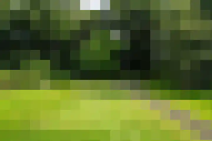 Weinterp 31 Wijnjewoude thumbnail 10