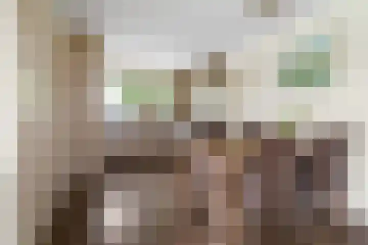 Weinterp 31 Wijnjewoude thumbnail 13