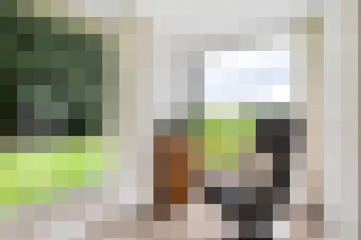 Weinterp 31 Wijnjewoude thumbnail 20