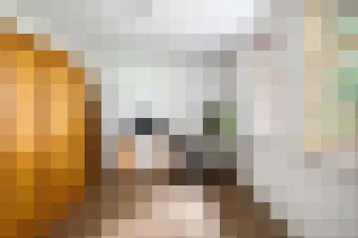 Weinterp 31 Wijnjewoude thumbnail 21