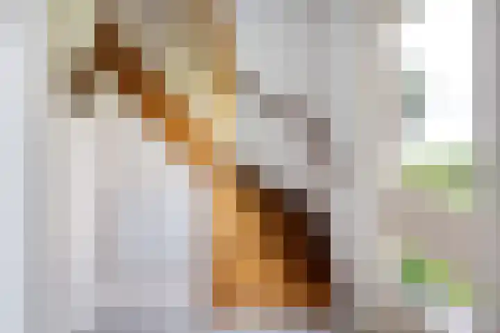 Weinterp 31 Wijnjewoude thumbnail 25